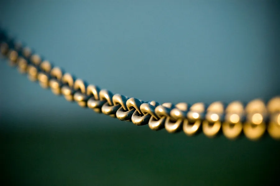 Link Building Specialist: How We Build Authority