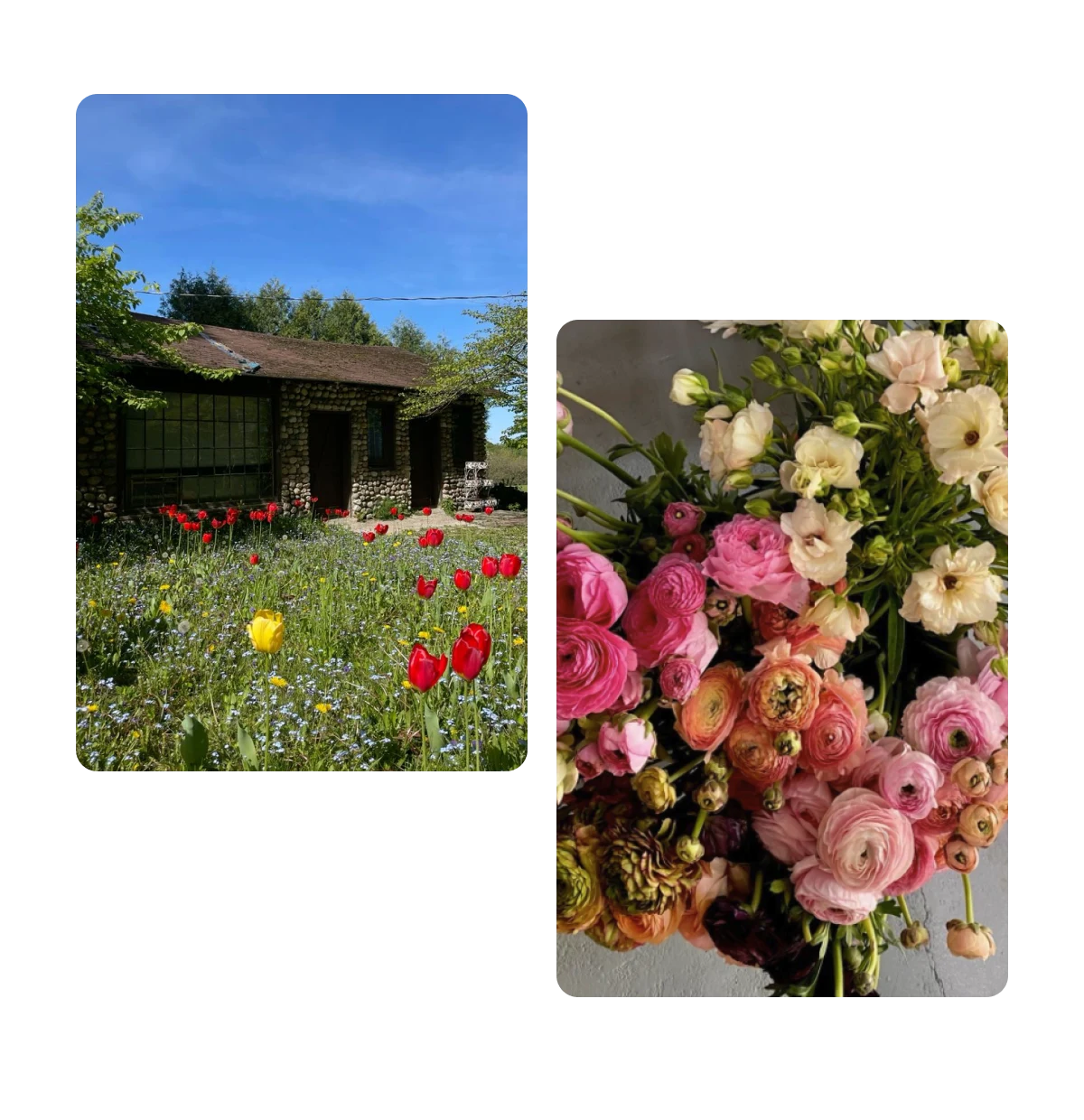 Dois Pins, casa em frente a um jardim com grama alta e flores, buquê de flores