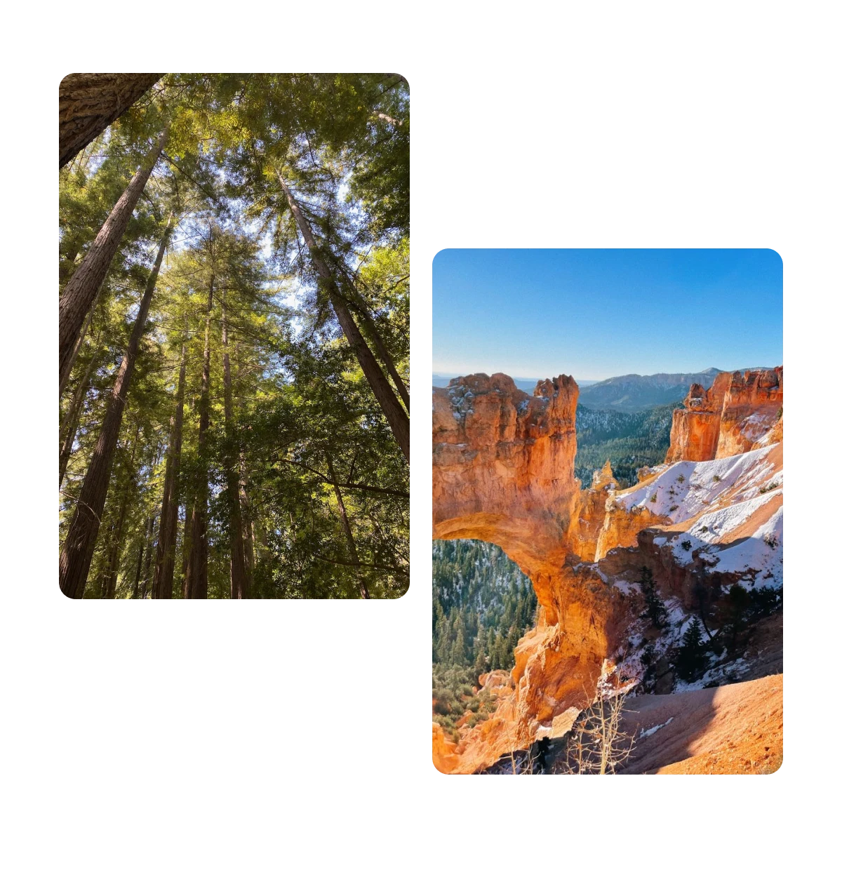 Two pins, forest of trees, view of natural formation