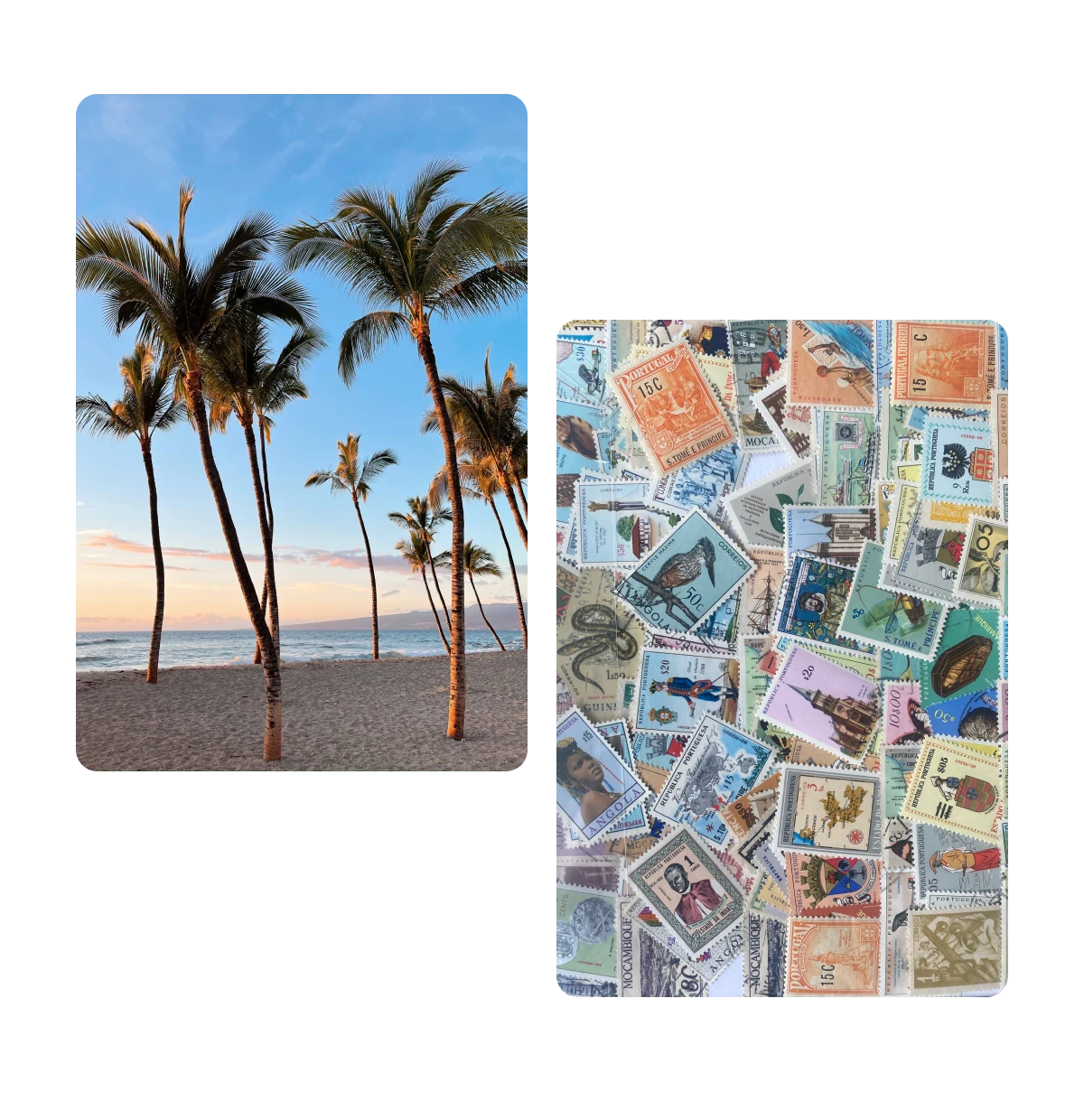 Zwei Pins, Palmen, Briefmarkensammlung