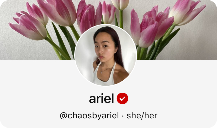 Profilo Pinterest di Ariel