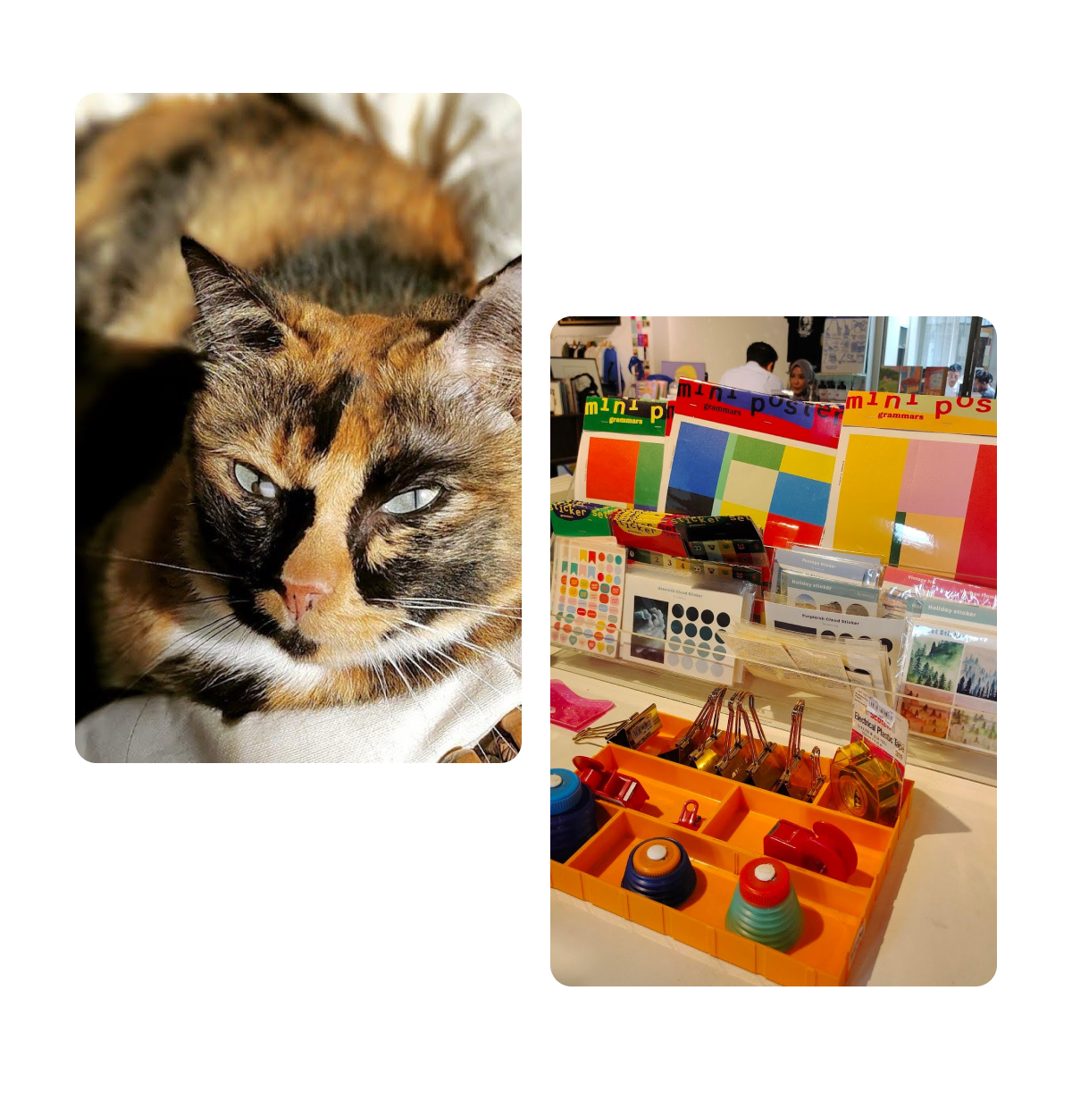 2 pins, cat sitting in basket, stationary supplies