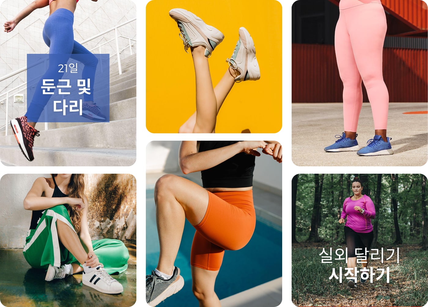 피트니스 핀 클러스터