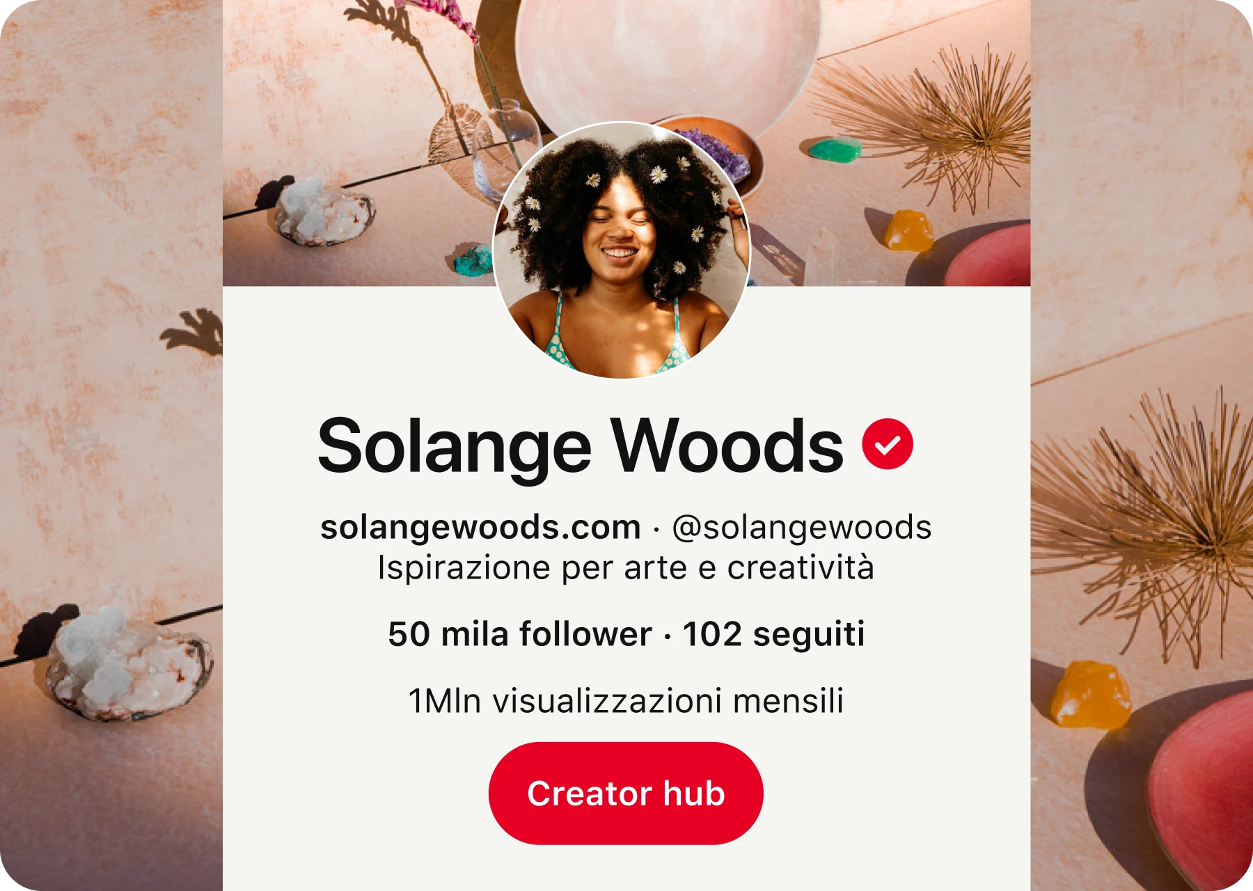 Pagina del profilo Pinterest di Solange Woods