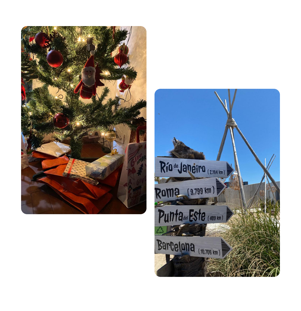 Two pins, melting snowman, plate of potato latkes