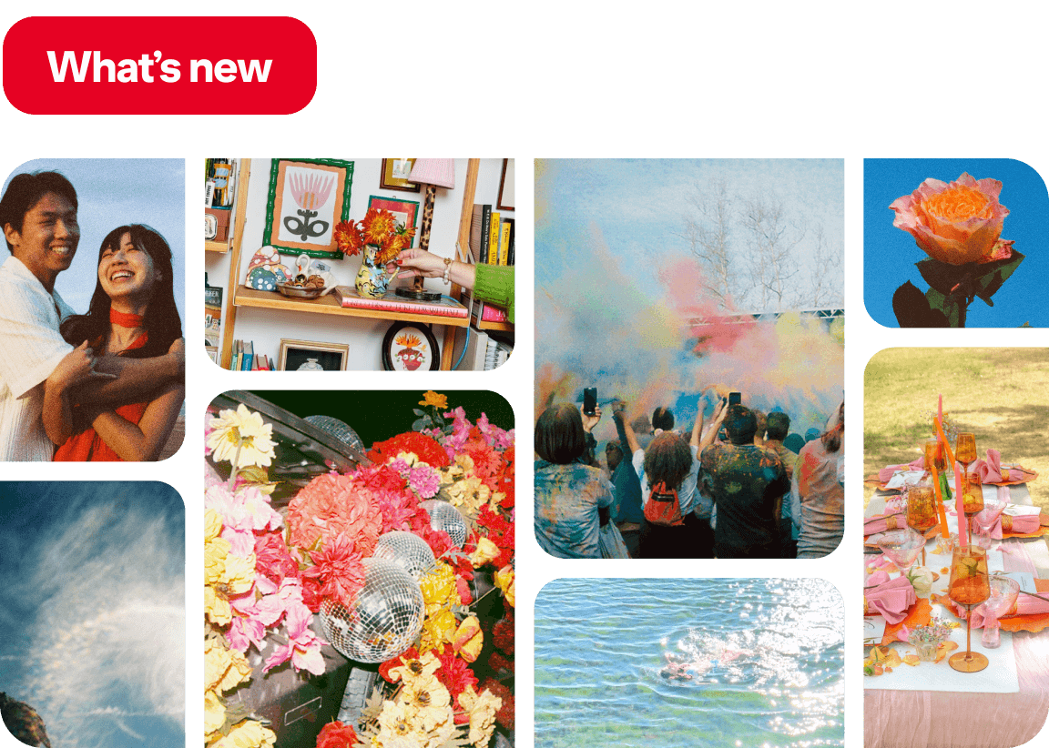 Pins featuring a happy couple, styled bookshelf, color powder festival, floral disco balls, orange rose, halo sky, lake splash, pink alfresco table.