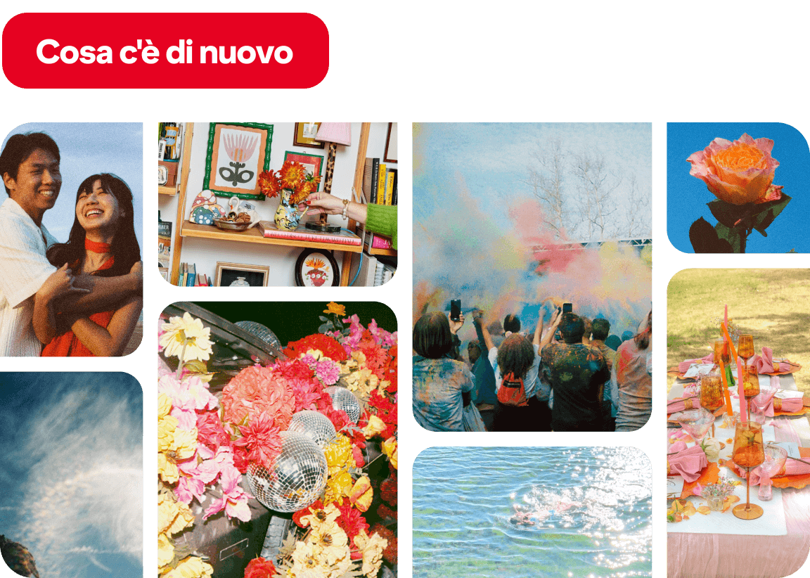 Pins featuring a happy couple, styled bookshelf, color powder festival, floral disco balls, orange rose, halo sky, lake splash, pink alfresco table.