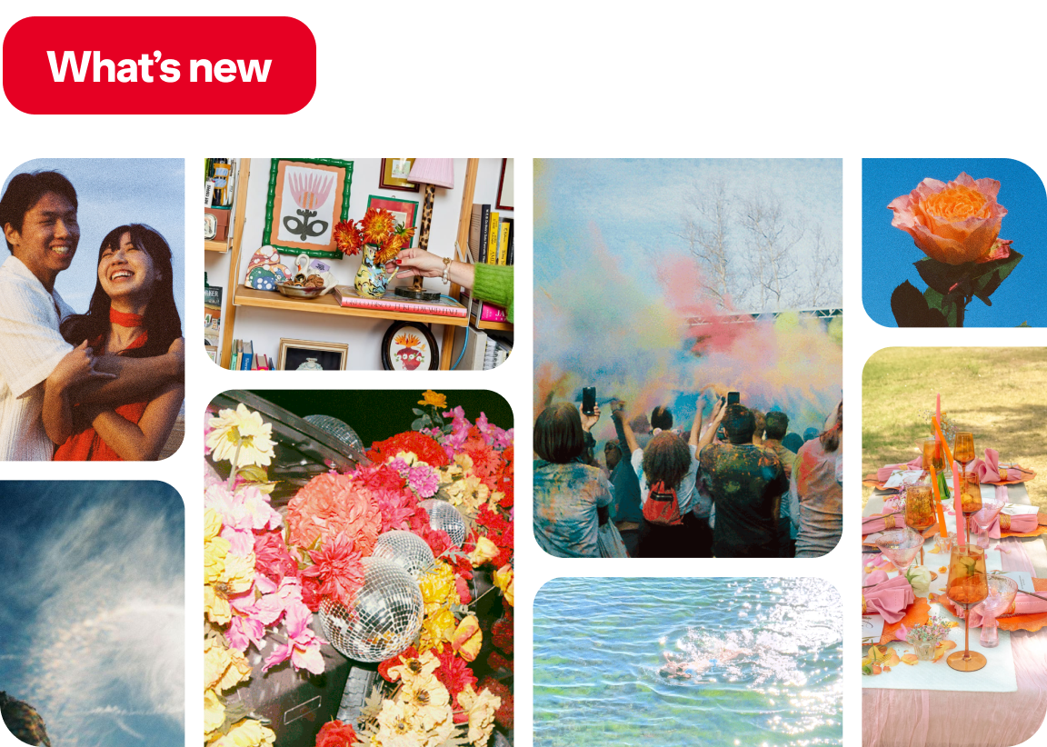 Pins featuring a happy couple, styled bookshelf, color powder festival, floral disco balls, orange rose, halo sky, lake splash, pink alfresco table.