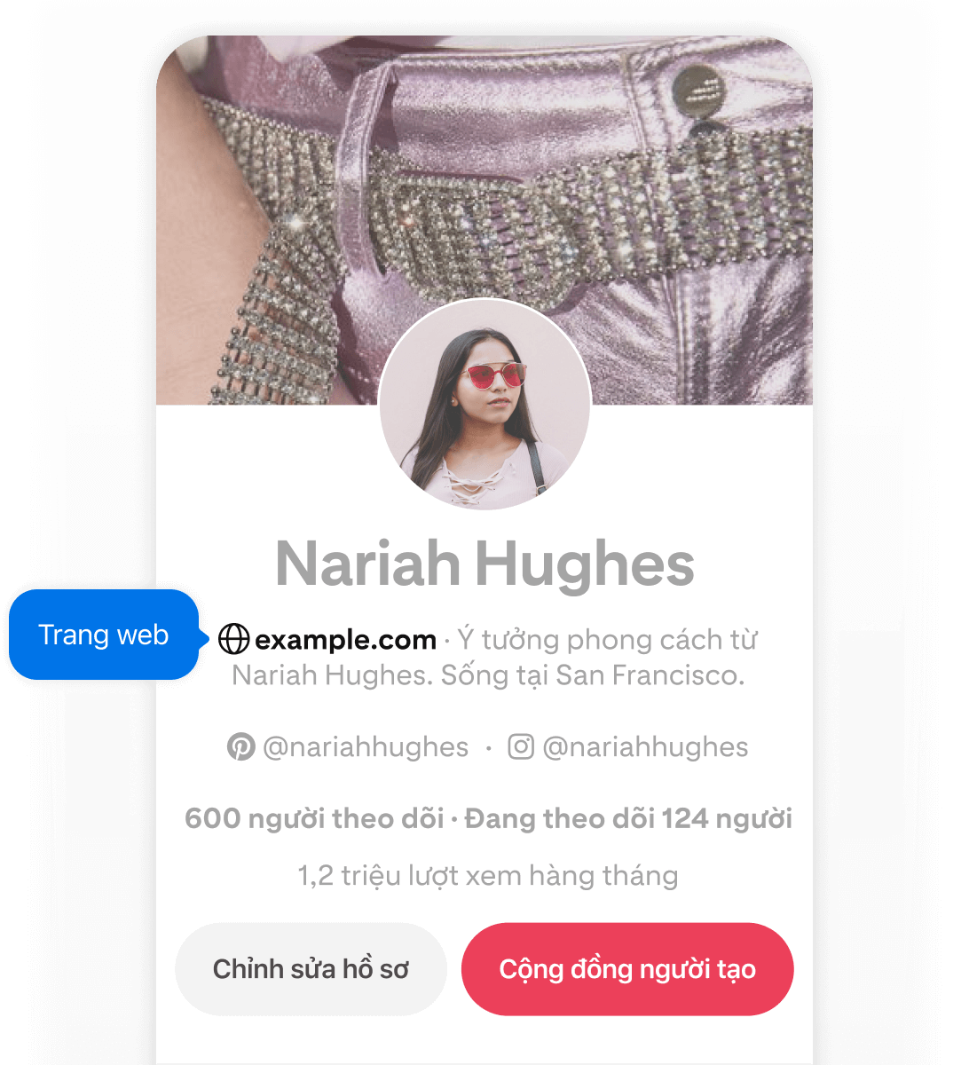 Ảnh chụp màn hình hồ sơ Pinterest của Nariah Hughes trên thiết bị di động, hiển thị 2 nút bật lên màu xanh lam có nhãn "Trang web" trỏ đến trang web của cô.