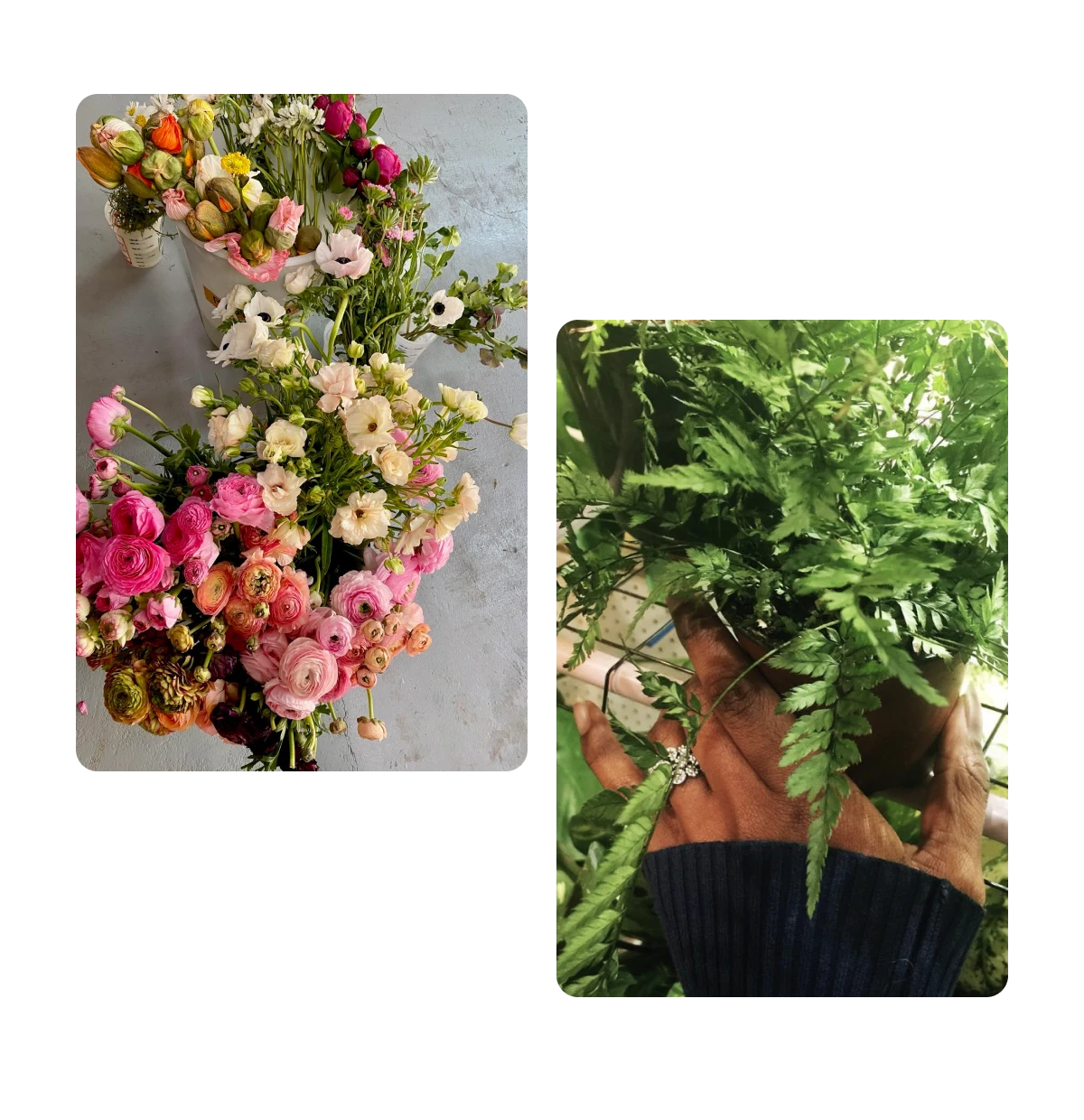 Two pins, floral arrangement, green plant