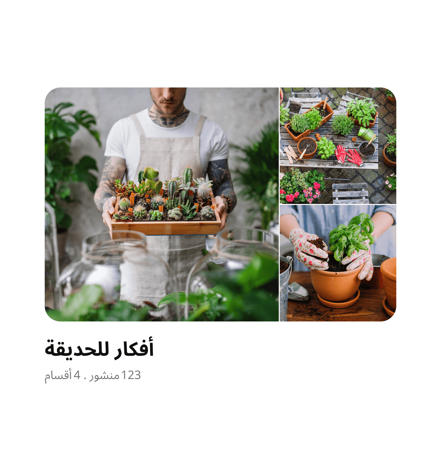 لوحة أفكار للحديقة