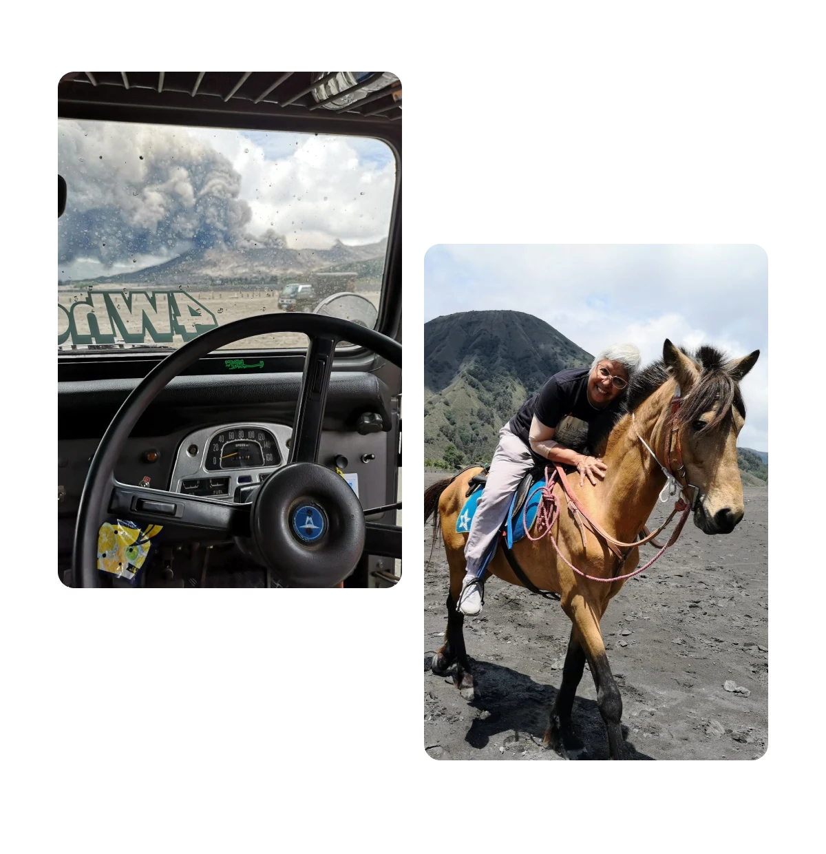 Two pins, interior of 4wd vehicle, and person riding horse