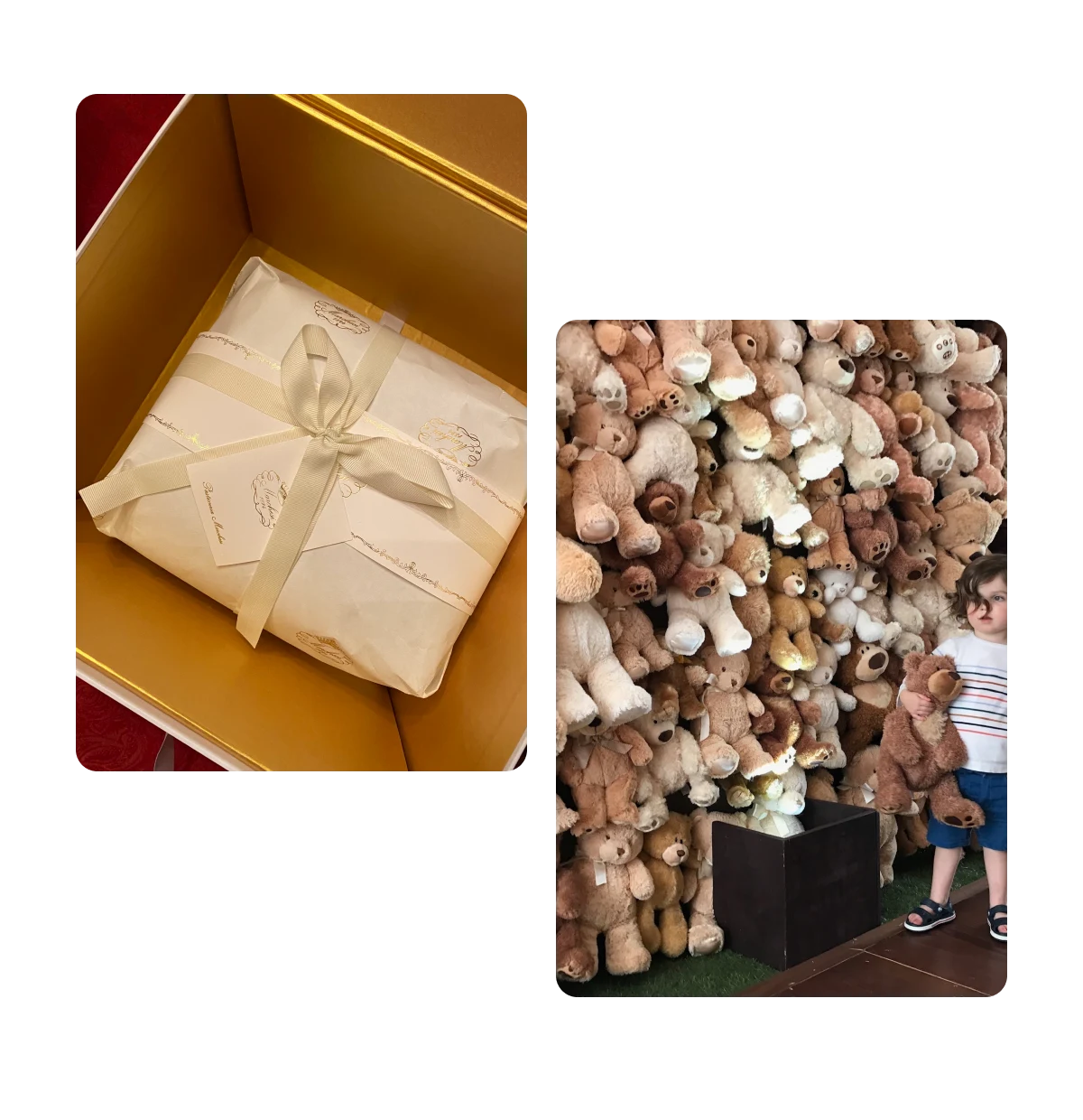 Two pins, gift box, wall of teddy bears