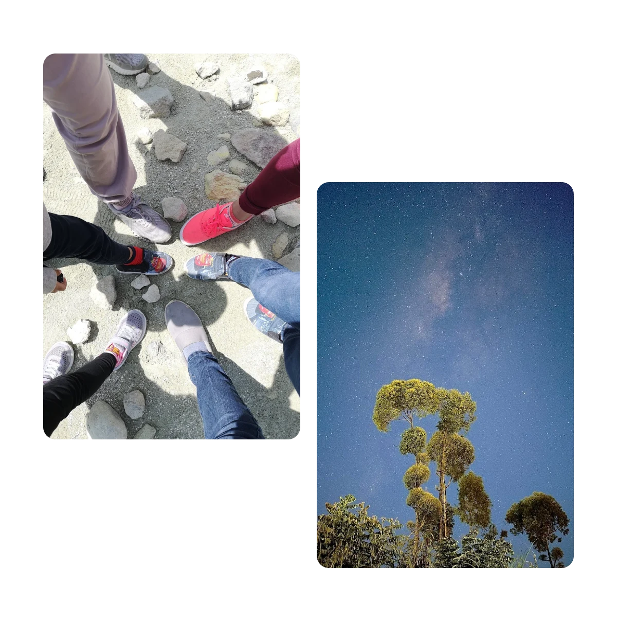 Two pins, people with feet in circle in the sand, a tree growing taller than others nearby