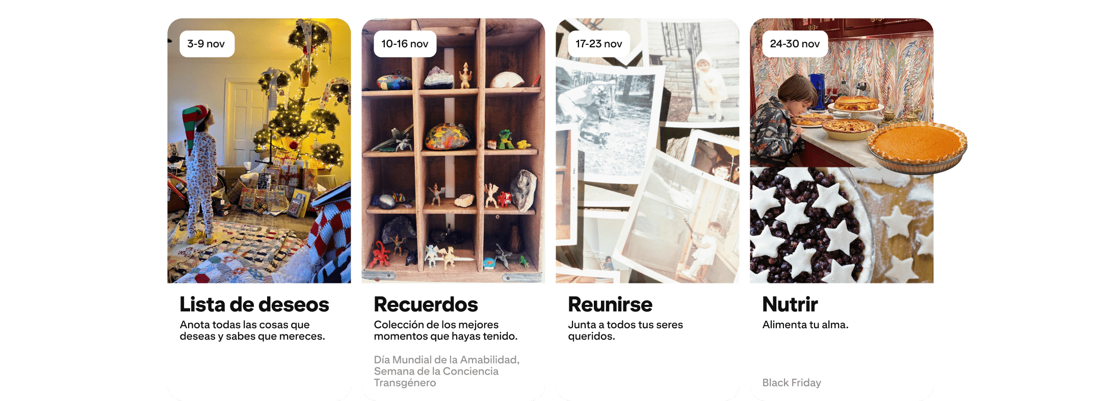 november-content-new