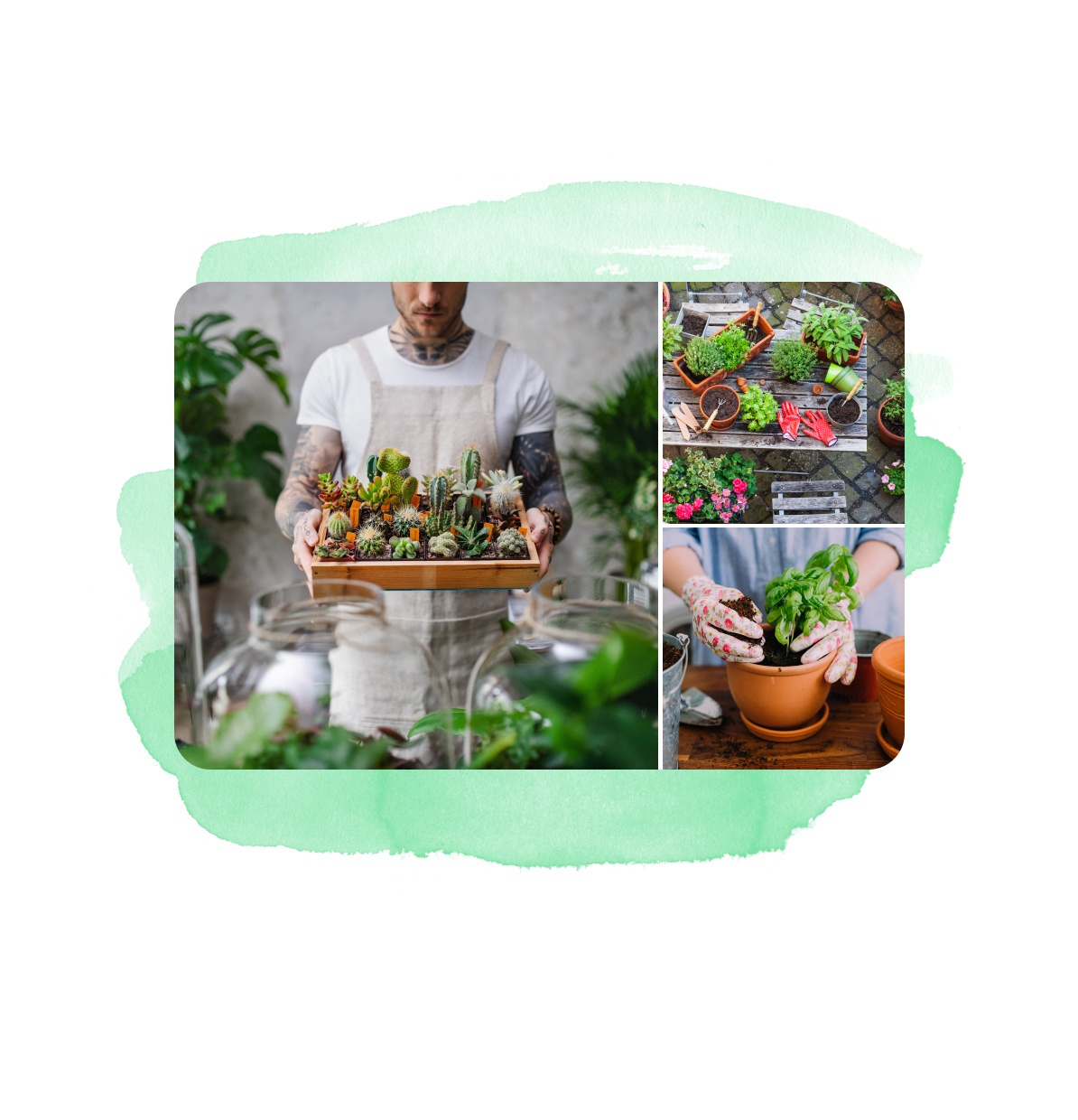 Tableau d’idées de jardinage