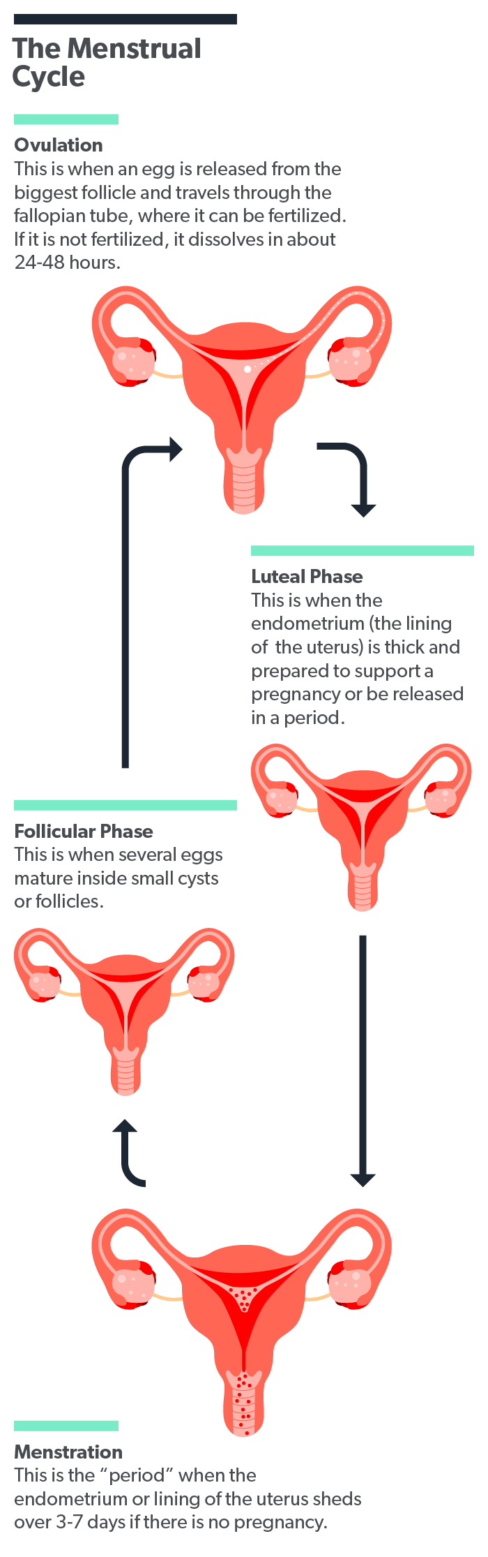 Luteal phase deficiency in regularly menstruating women