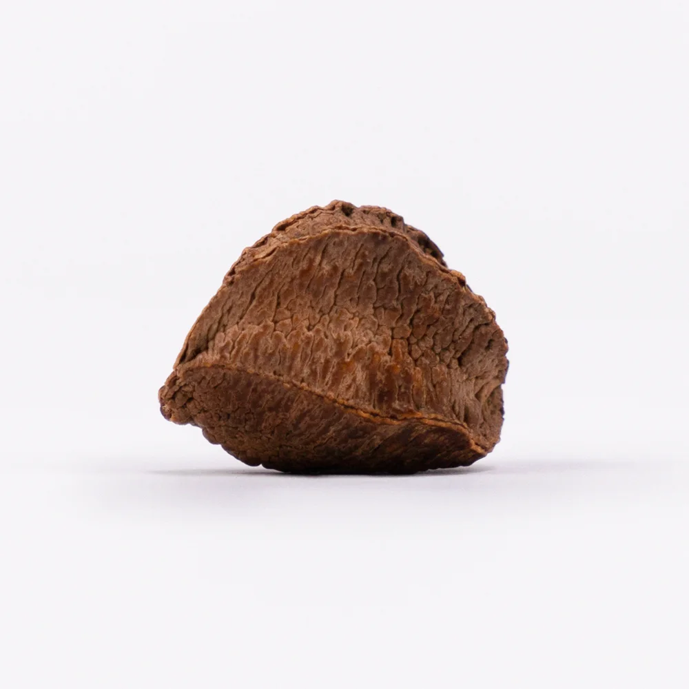 10 foods high in selenium - Desktop Image