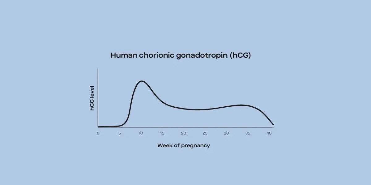 modernfertility.com