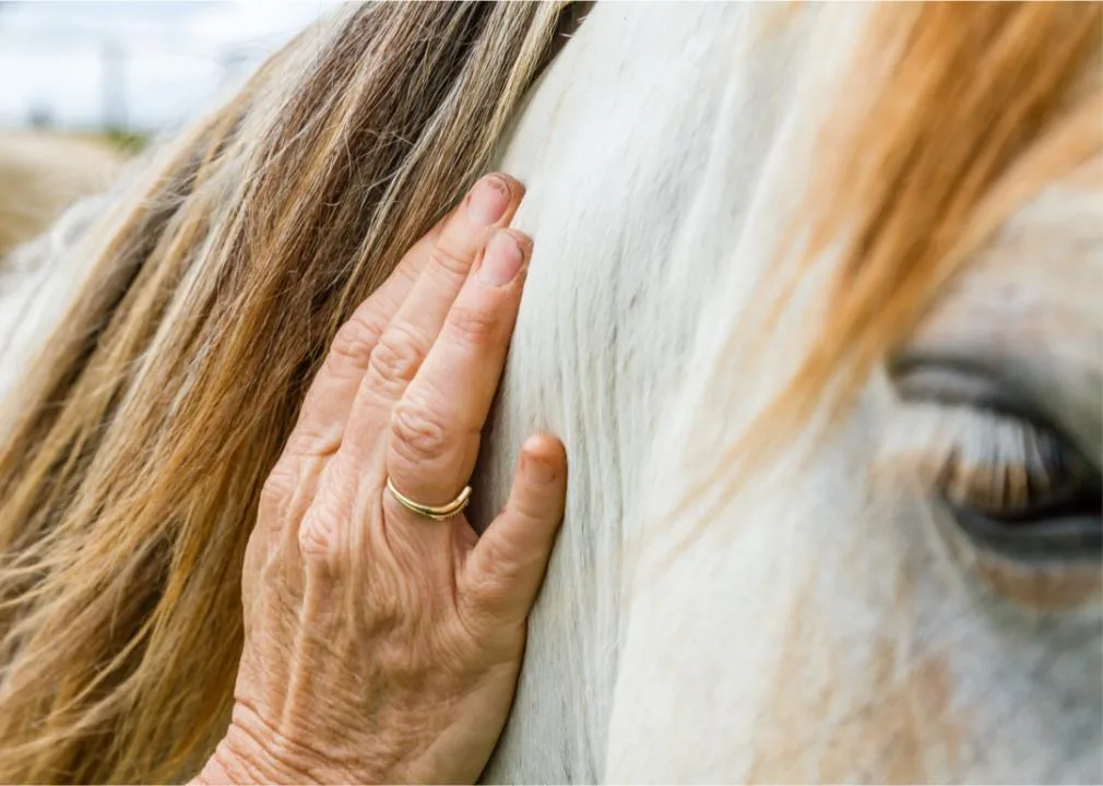 From equine to play: 10 nontraditional therapies - Desktop Image