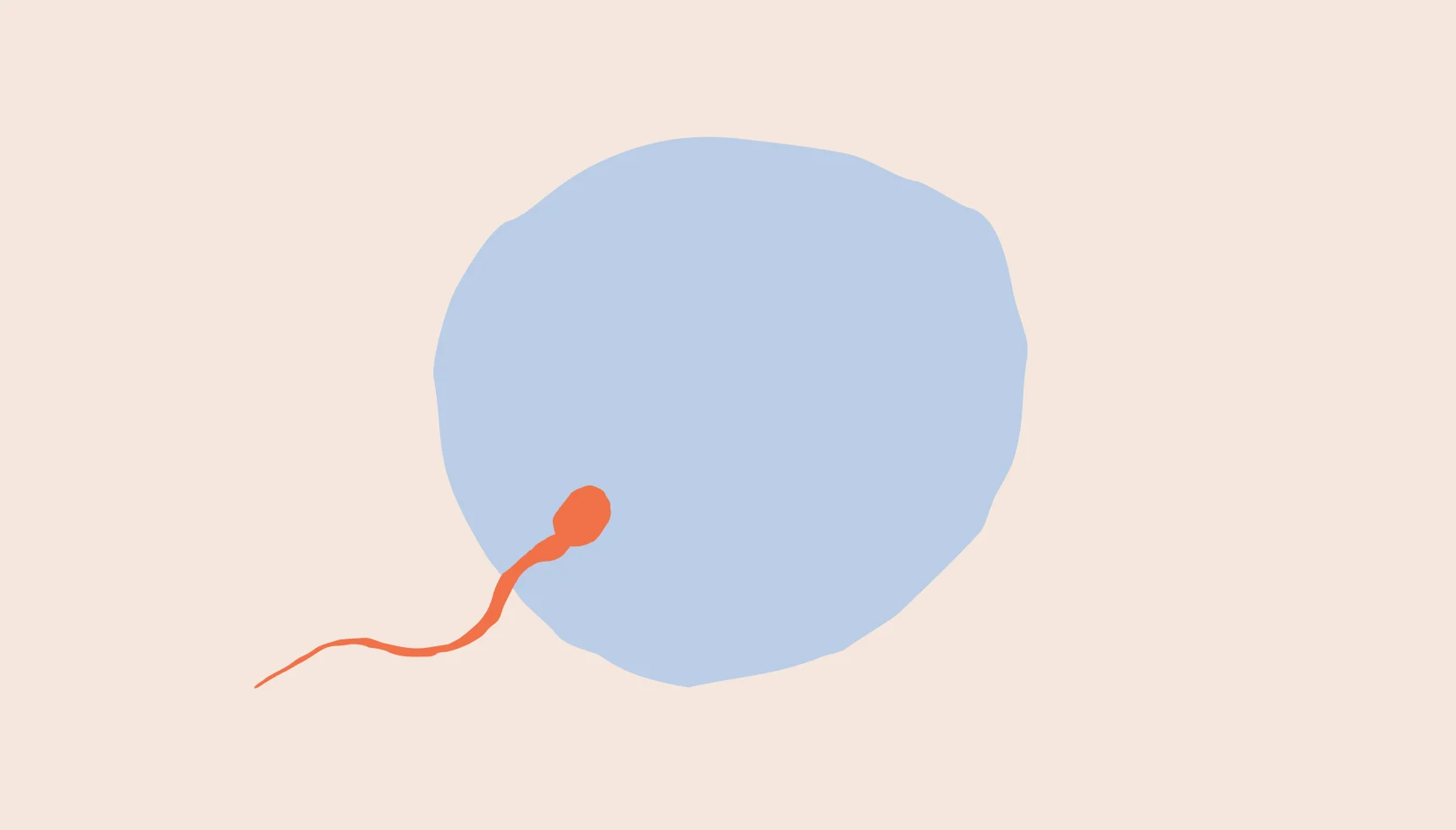 how-long-does-birth-control-stay-in-your-system-ro