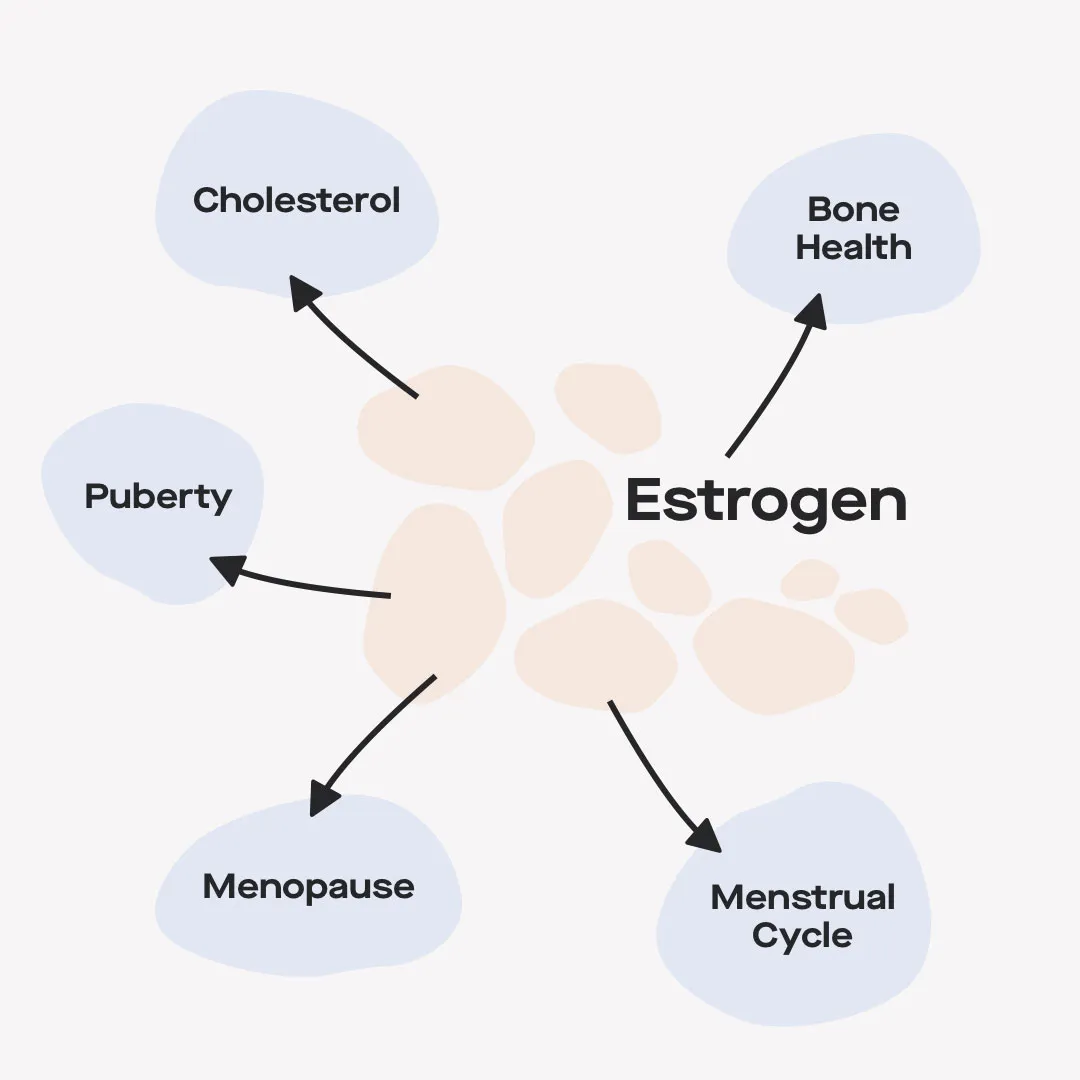 Signs and Symptoms of High and Low Estrogen Levels