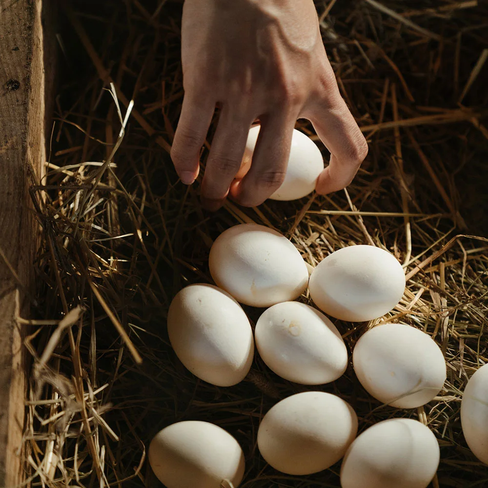 Vitamin B12 deficiency: levels, symptoms, treatment - Desktop Image