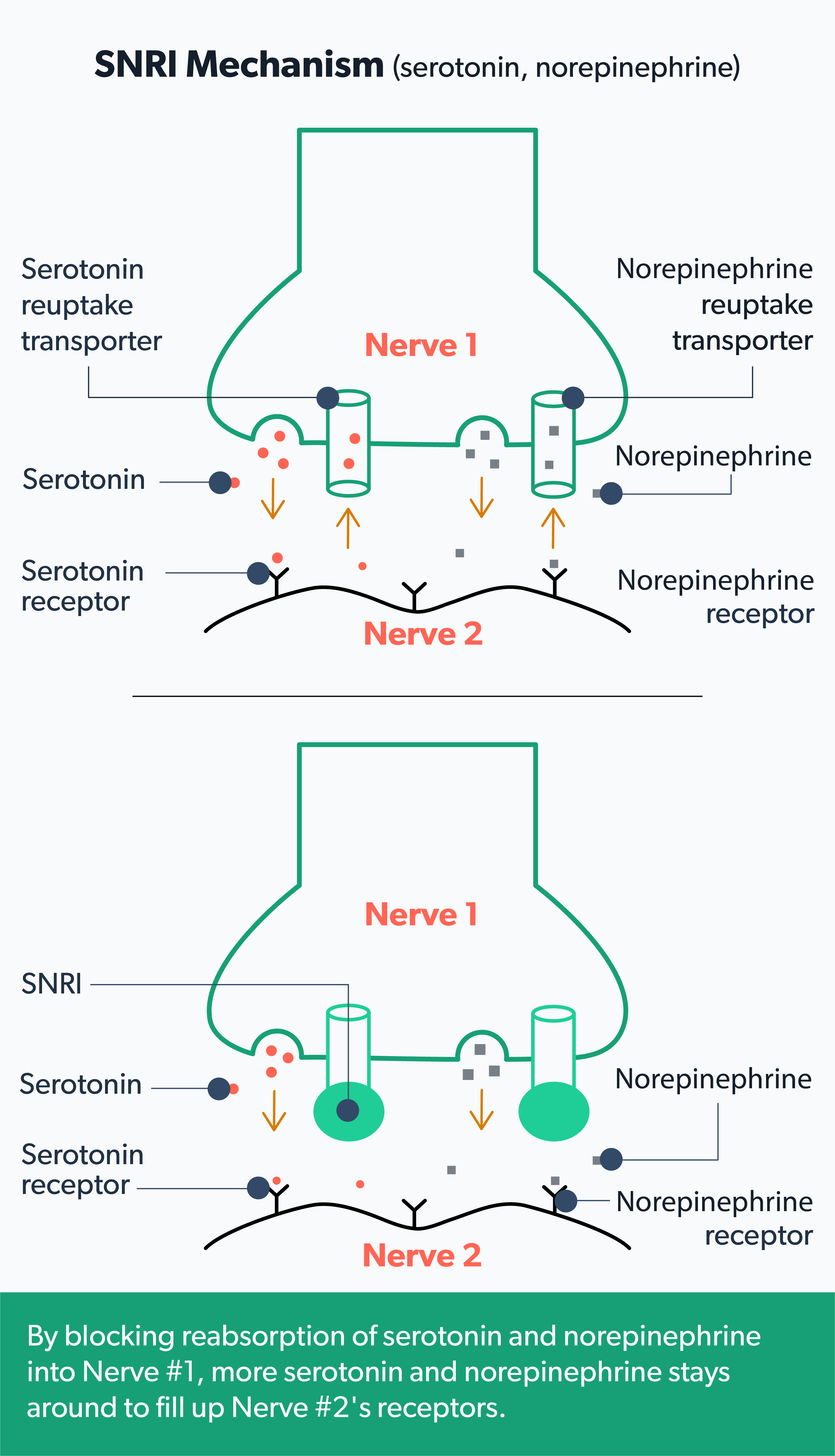 SNRIs What Are They Uses Side Effects and Risks Ro