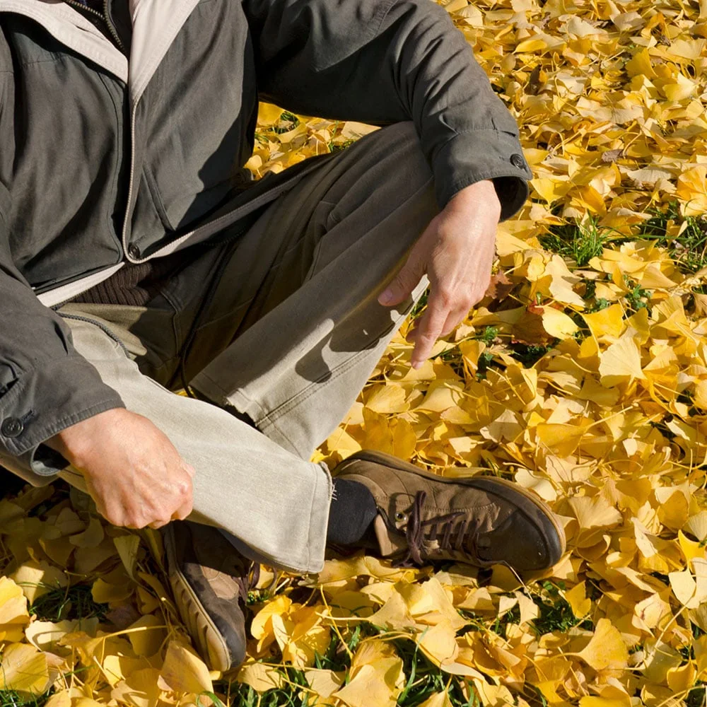 Top health benefits of ginkgo biloba - Desktop Image