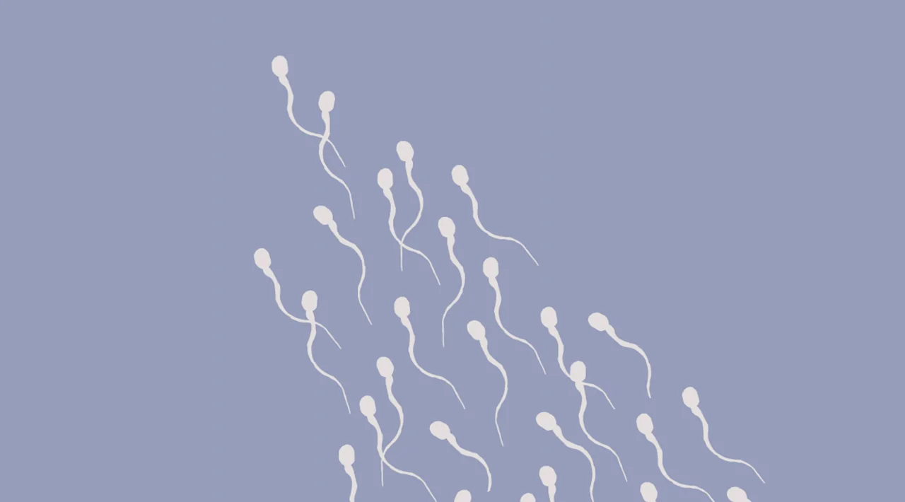 How to interpret the results of a semen analysis - Desktop Image