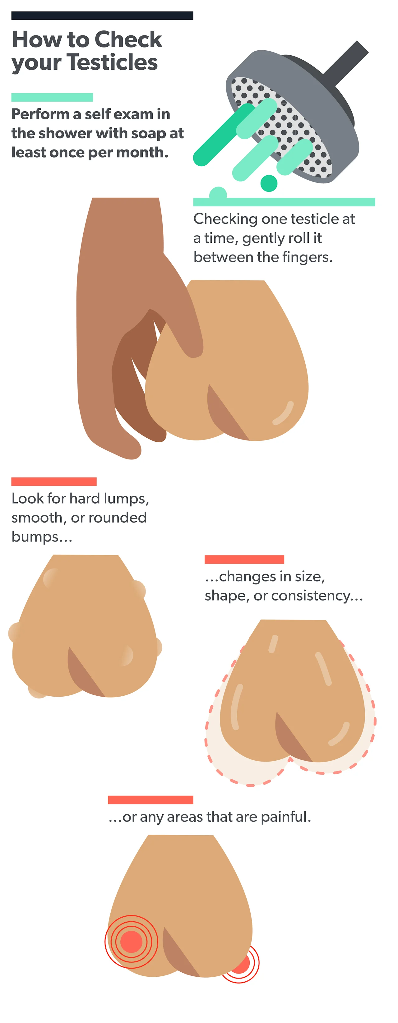 OC How to check for testicular cancer image 4c278511-8c7d-4634-b3e6-6fab55edc774