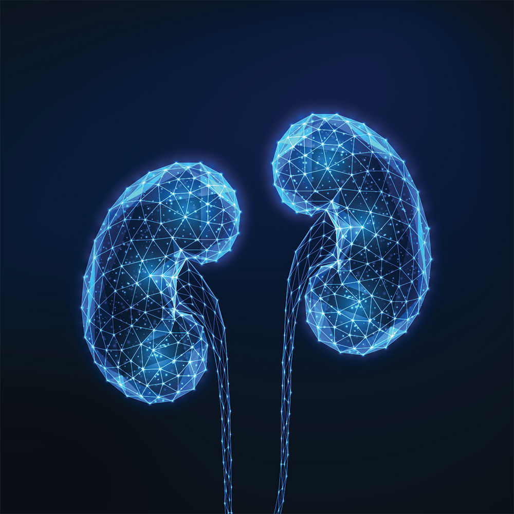 What Is A Normal Glomerular Filtration Rate (GFR)? Ro