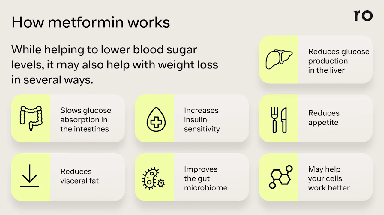 A graphic depicting how metformin works. The headline at the top of the graphic says: How metformin works
While helping to lower blood sugar levels, it may also help with weight loss in several ways. Beneath the copy are seven boxes with icons and text representing different ways that metformin works in the body. The first box contains an icon of the liver and says: reduces glucose production in the liver. The next box contains an icon of intestines and says: slows glucose absorption in the intestines. The next box contains an icon of a teardrop that says: inreases insulin sensitivity. The next box contains a knife and fork icon and says: reduces appetite. The next box contains an icon of an arrow pointing downward and says: reduces visceral fat. The next box contains an icon of an amoeba and says: improves the gut microbiome. The last box contains an icon of cell structure and says: may help your cells work better.
