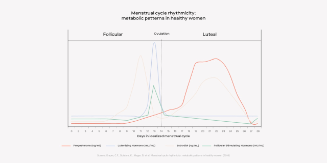 Menstrual cycle rhythmicity: metabolic patterns in healthy women
