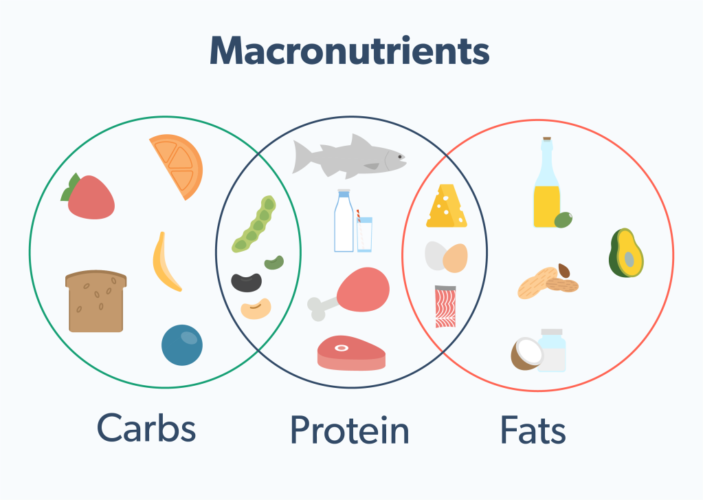 Your Guide to Macronutrients | Ro