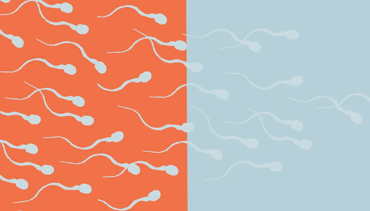 Your primer on sperm types: Fresh vs. frozen sperm for IVF and IUI - Desktop Image