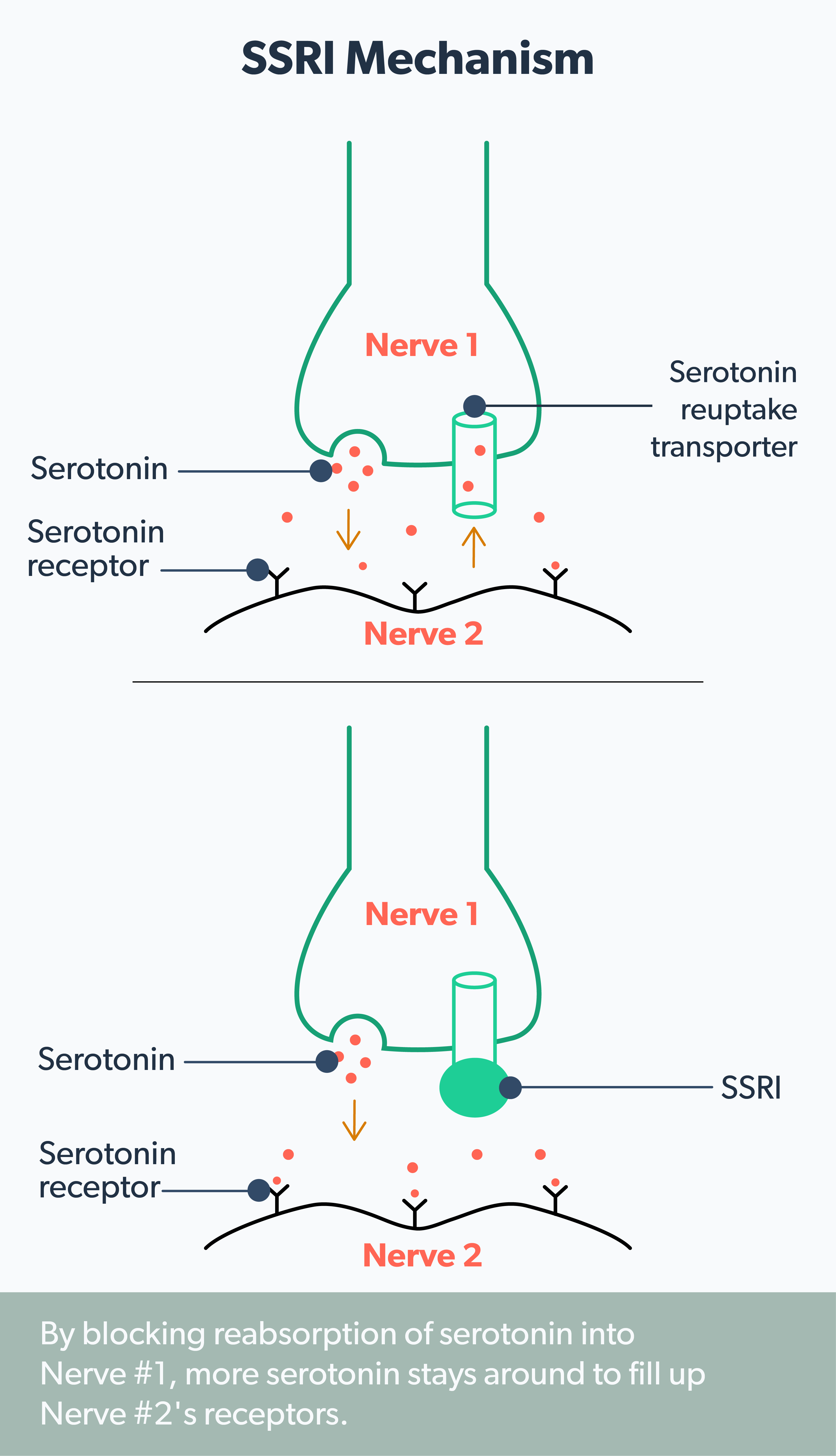 Lexapro vs. Zoloft Differences And Similarities Ro