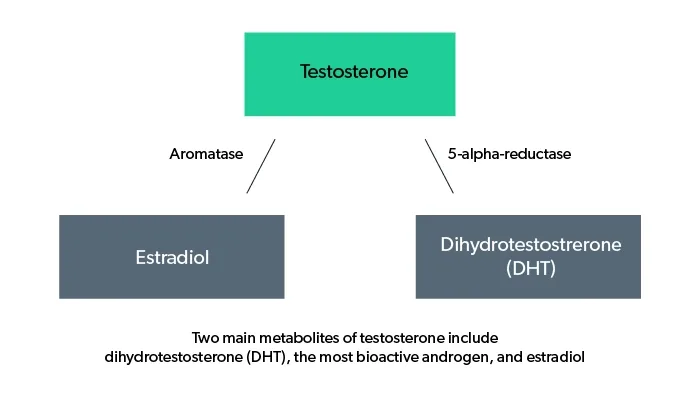 Testosterone-Treatment-Diagrams-01