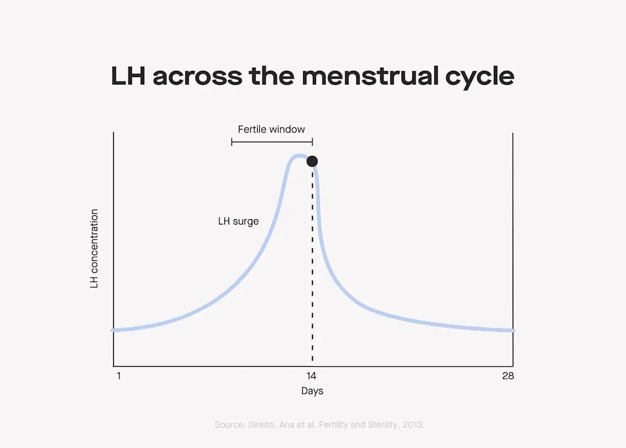OC The Modern guide to ovulation predictor kits and ovulation tests image 6f58eb82-164d-4569-aea3-4bc6a95f8de3