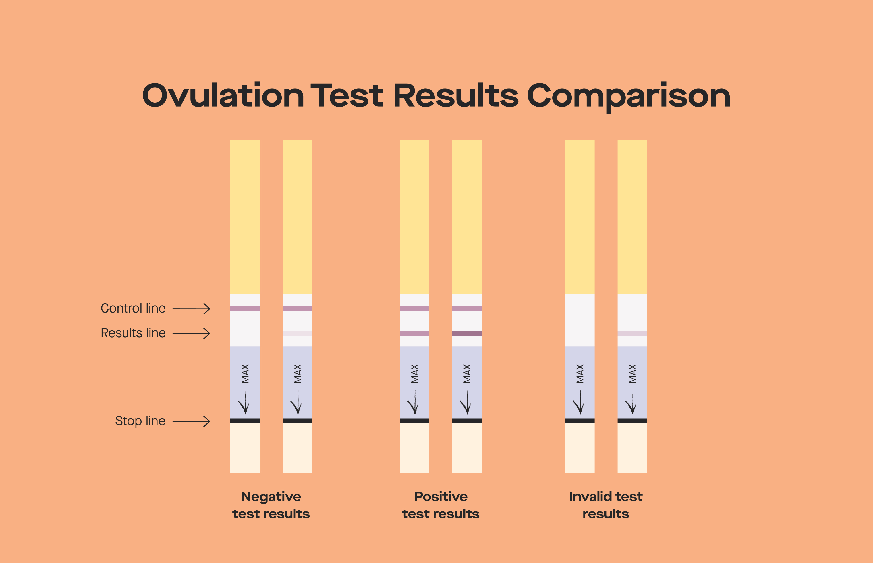How Ovulation Test Kits Work to Predict Fertility
