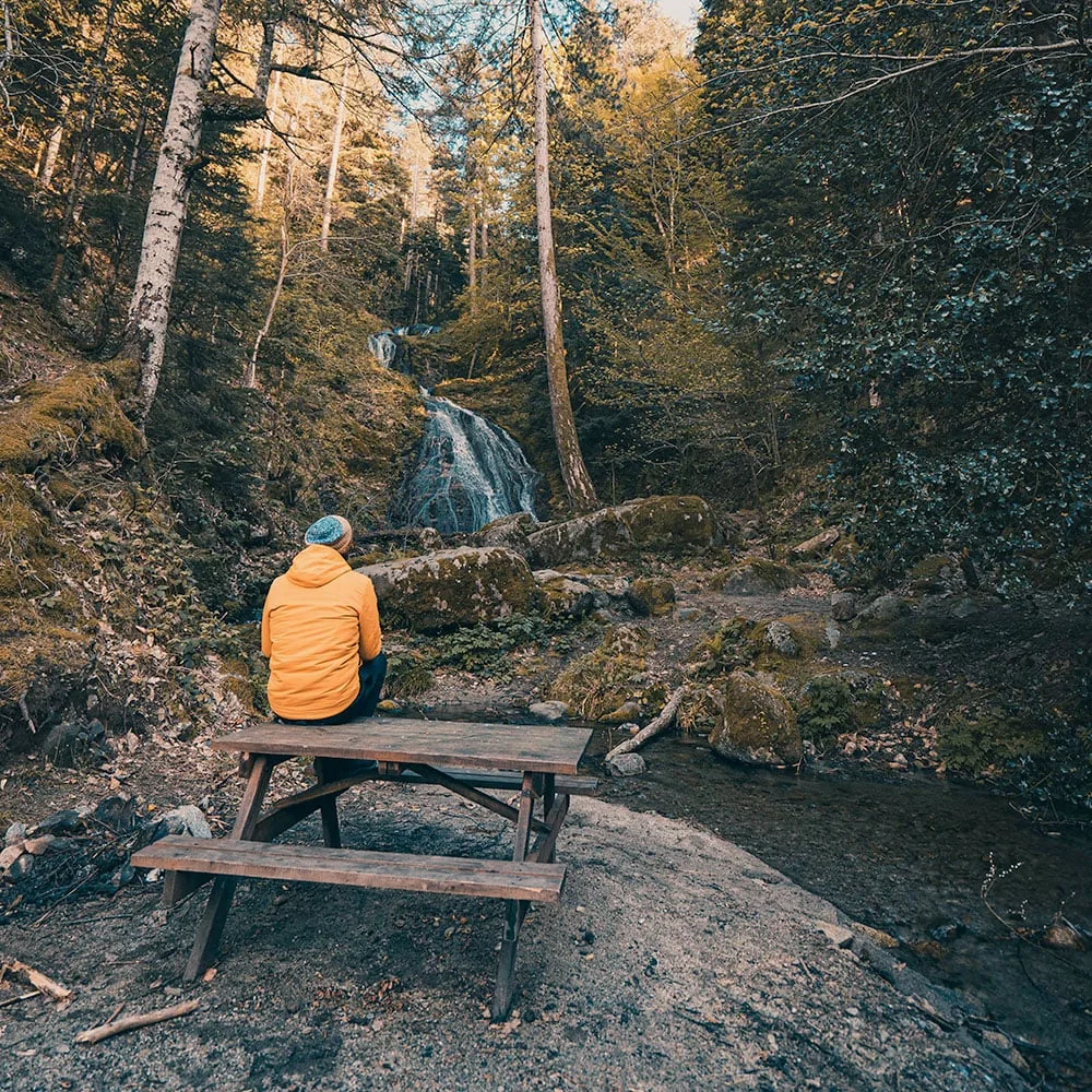 8 herbs that are good for male fertility - Desktop Image