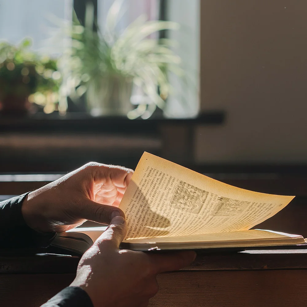 Alpha GPC: what is it, benefits, dosage, side effects - Desktop Image