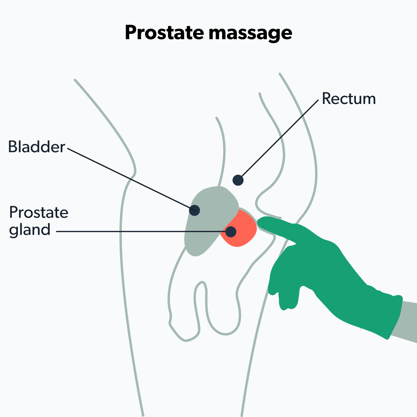 Prostate Massage What is It Benefits How to Do It