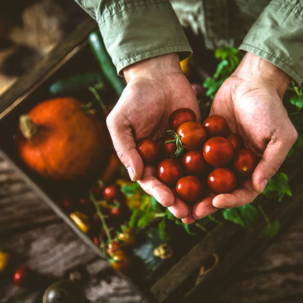 Why cholesterol is too important to ignore - Desktop Image