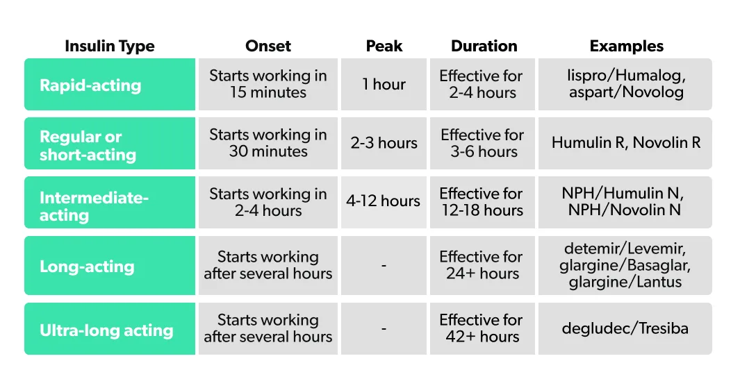 OC Insulin's discovery and its role in the body image b7ddd834-f0eb-4592-b4f2-f2061edc1a5e