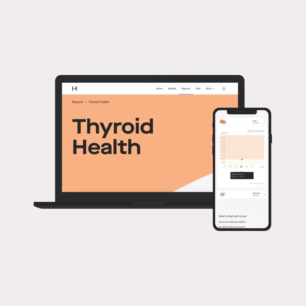 OC Testing your thyroid levels: what you need to know image d208a6bb-2c8b-448f-b1c2-59970a38f8dd