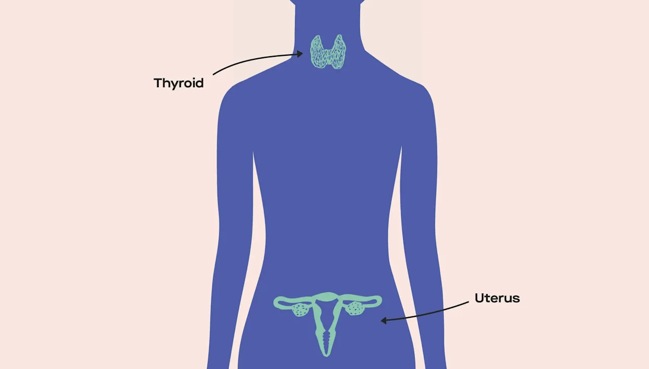 OC 4 reasons to track your cycle and ovulation if you're not trying to get pregnant image da660f10-f868-4d93-a6c1-1ba6f7bc9fe0