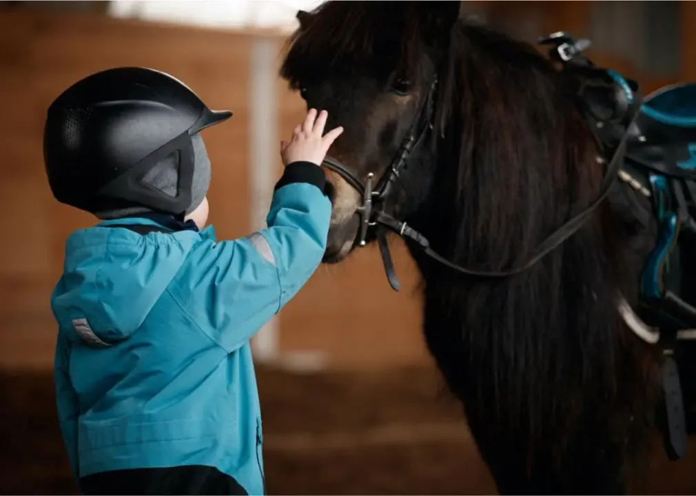 OC From equine to play: 10 nontraditional therapies image e29650e6-182e-4b36-844e-4275eb9274f2