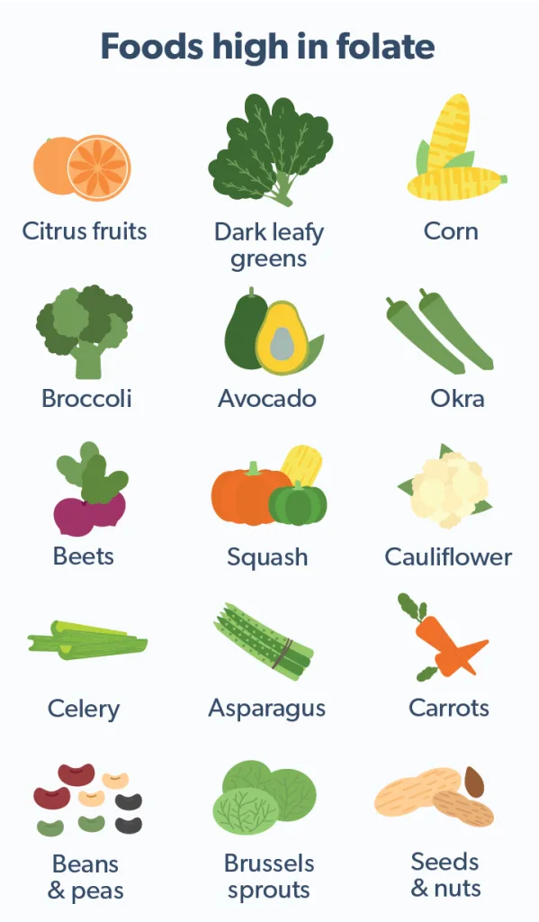 OC Folic acid for men: what does the evidence say image fdf98ac4-3e09-4c87-b252-b59231d238d5
