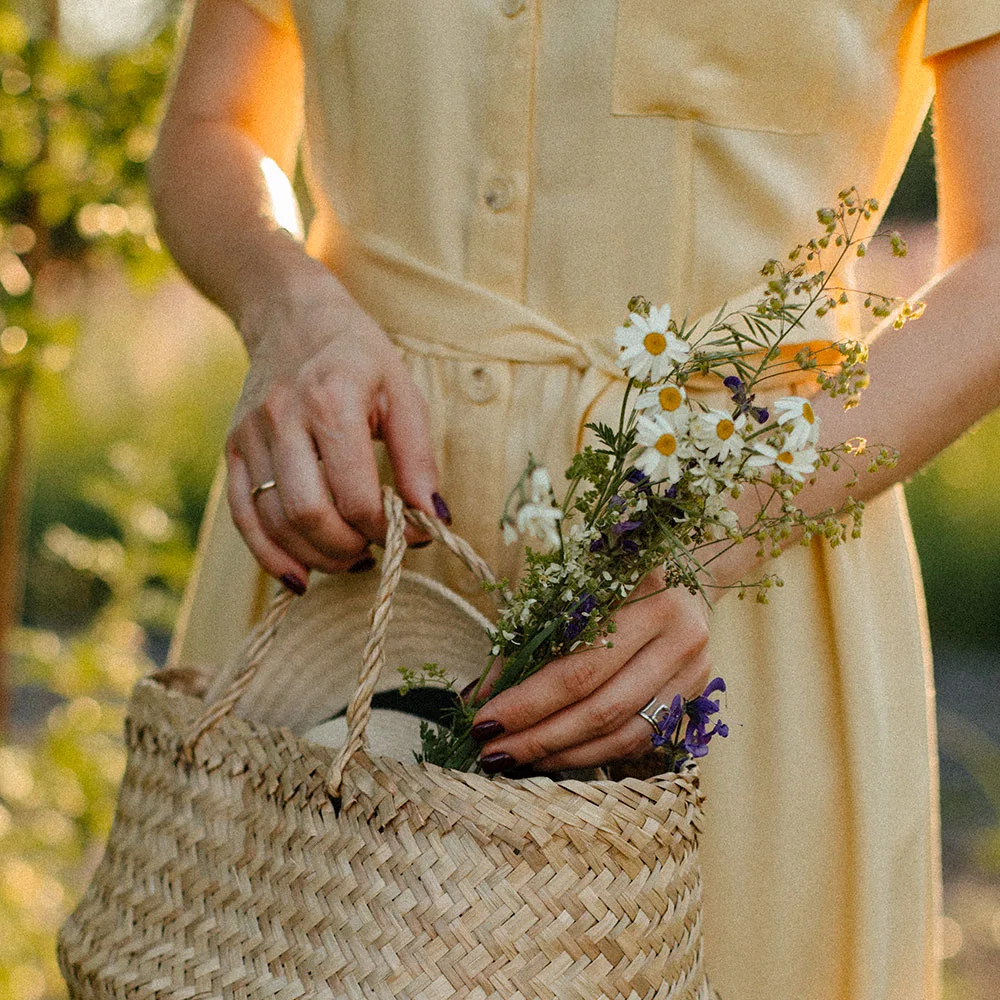 Black cohosh: uses, benefits, and side effects  - Desktop Image
